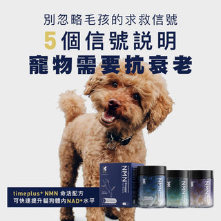 5個信號  寵物需要抗衰老 - Timeplus+