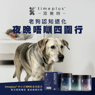 Timeplus+