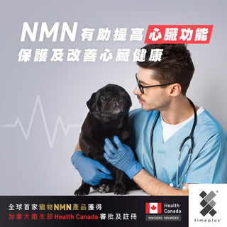 《Circulation》綜述研究: NMN可以促進動物心臟細胞的代謝活動，提高心臟功能 - Timeplus+