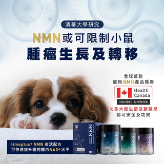 清華大學研究：NMN 或可限制小鼠腫瘤生長及轉移 - Timeplus+