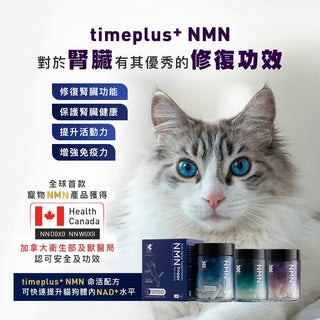 科研結果：NMN對於腎臟有其優秀的修復功效 - Timeplus+