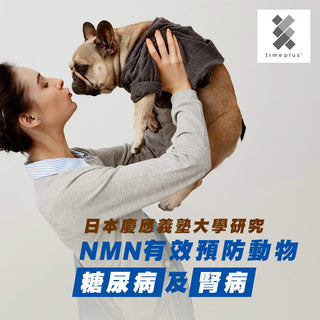 日本慶應義塾大學: NMN有效預防動物糖尿病及腎病 - Timeplus+