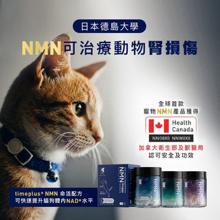 日本德島大學：NMN可治療動物腎損傷 - Timeplus+