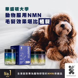 華盛頓大學: 動物服用NMN毛髮效果堪比”植髮" - Timeplus+