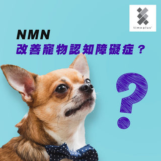 TimePlus NMN 改善寵物認知障礙症 - Timeplus+